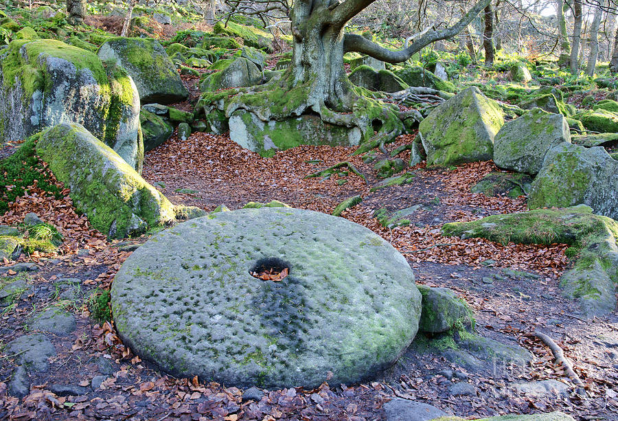 Old millstone in woodland Photograph by David Birchall