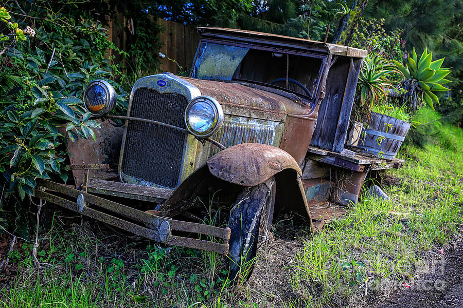Jungle Photograph - Old Model T Ford in the Jungle Maui Hawaii by Edward Fielding