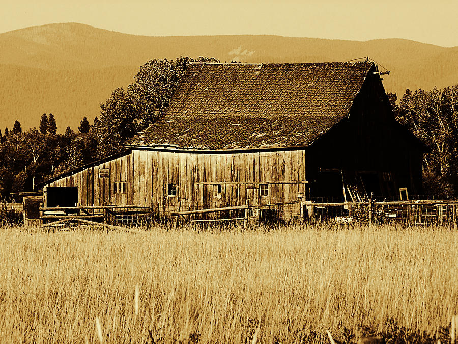 Old Montanna Barn Photograph by Ron Roberts