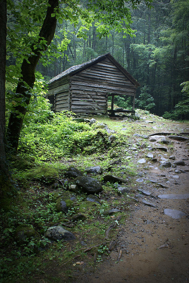 Old Mountain Cabin Photograph by Larry Bohlin