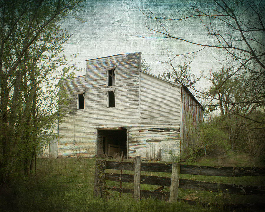 Old Mule Barn Photograph by TnBackroadsPhotos