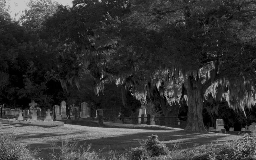 Old Natchez City Cemetery Photograph By Bud Steed Fine Art America