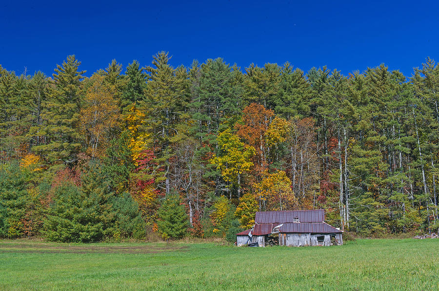 Old NC Barn and Fall Foliage Photograph by Willie Harper