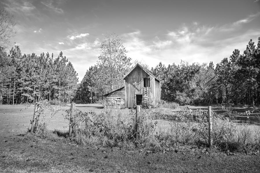 Old Outbuilding Photograph by Judy Hall-Folde
