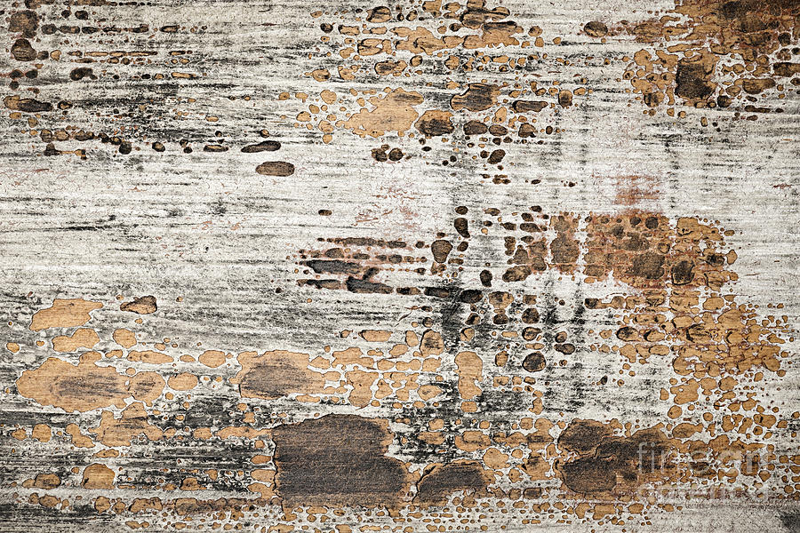 Old painted wood abstract No.1 Photograph by Elena Elisseeva