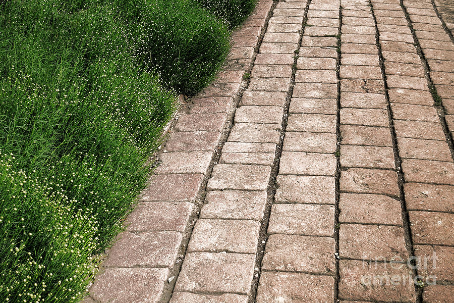 Brick Photograph - Old Pavers Alley by Olivier Le Queinec