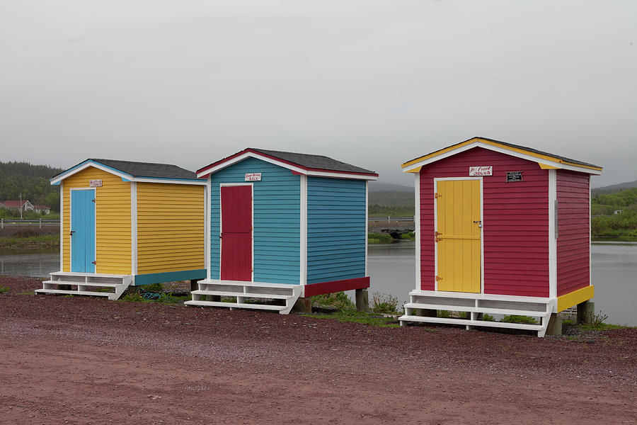 Old Perlican, Newfoundland, Canada Photograph by Greg Johnston Fine