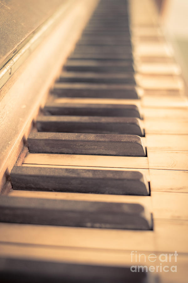 Old Piano Keys Photograph by Edward Fielding