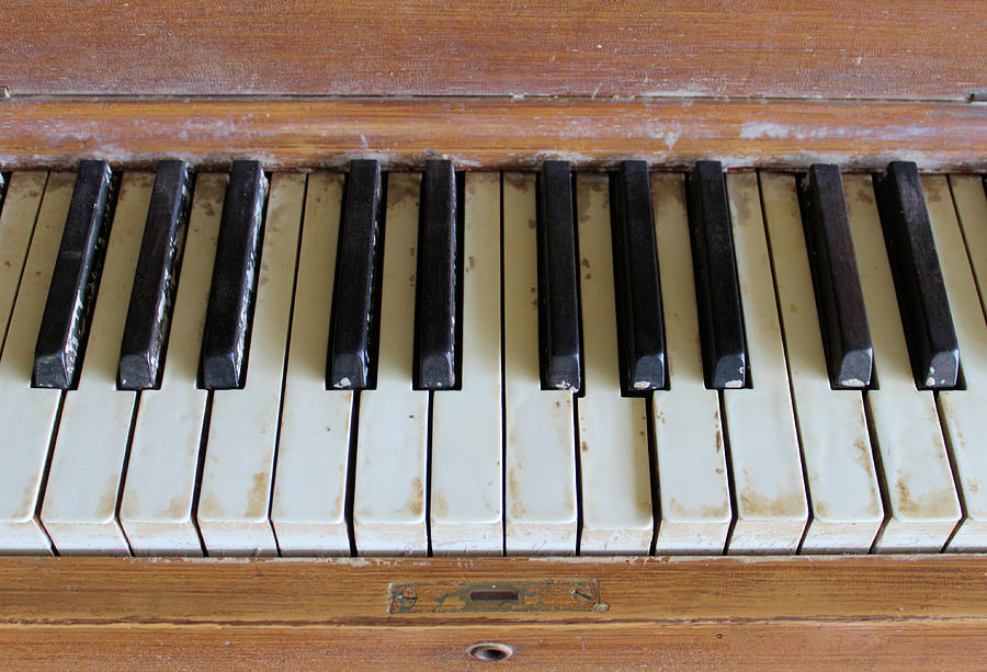 Old Piano Keys Photograph - Old Piano Keys Fine Art Print