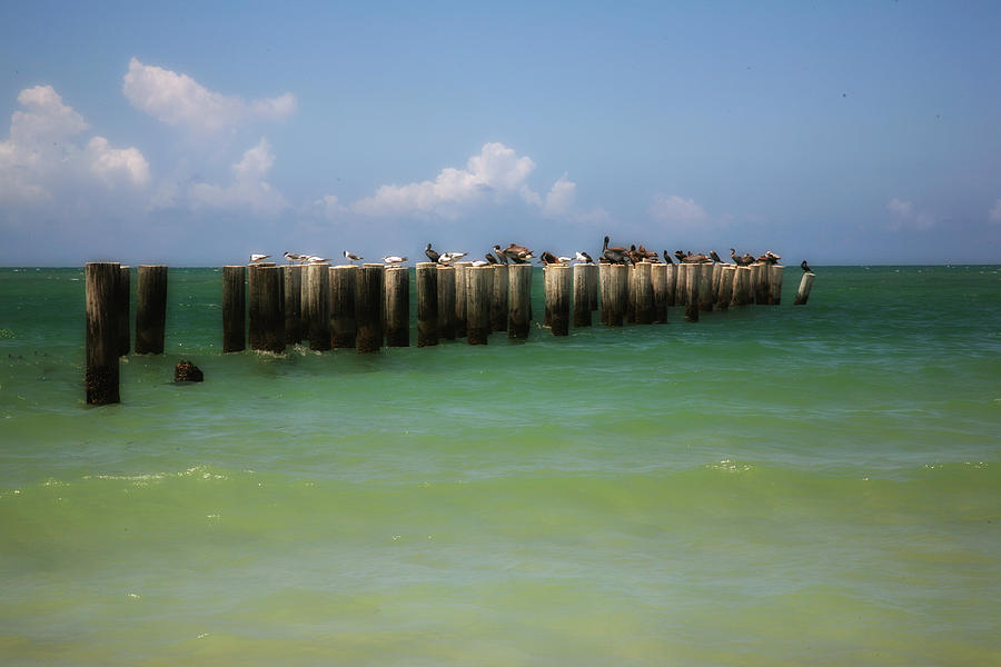 Old Pier Naples Bay by Carol Kinkead Old Pier Naples Bay by Carol Kinkead