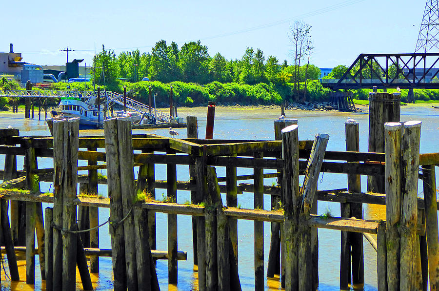 Old Pier on Fraser Photograph by Laurie Tsemak