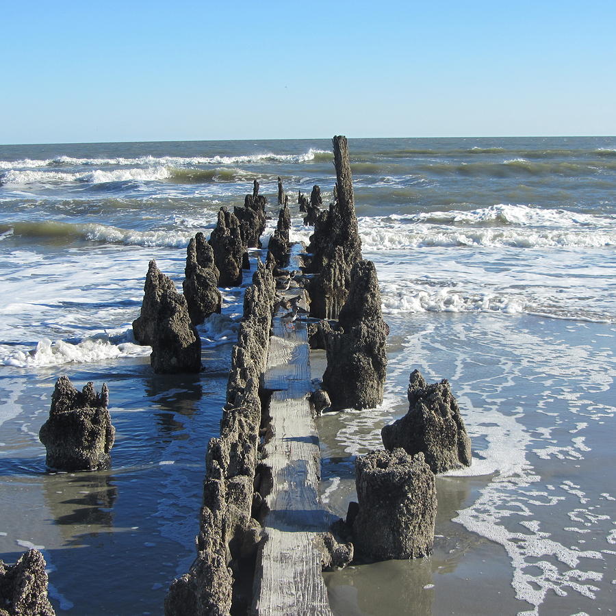 Beach Photograph - Old Pier Remnants 2 by Cathy Lindsey