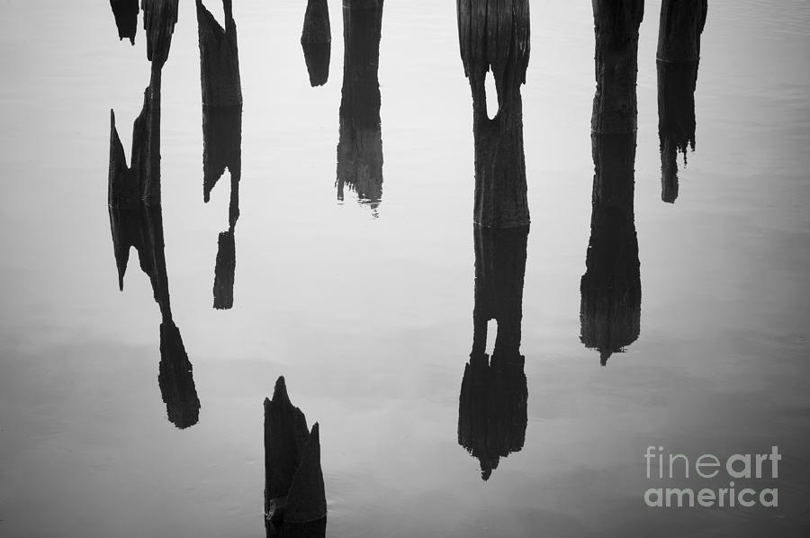 Abstract Photograph - Old Pilings and Reflections by David Gordon