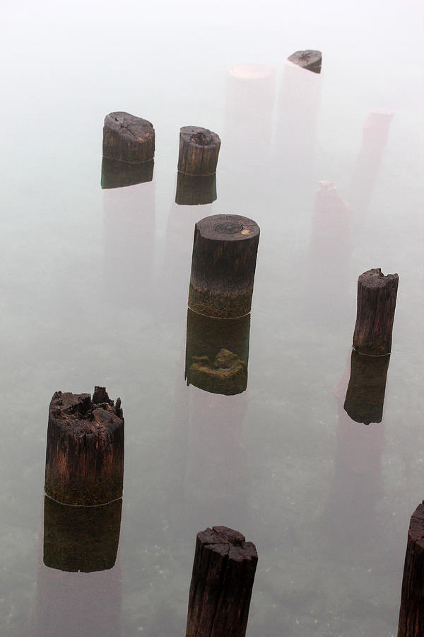 Old Pilings in Fog 1 Photograph by Mary Bedy