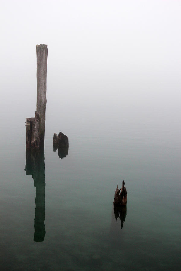 Old Pilings Reflections 2 Photograph by Mary Bedy
