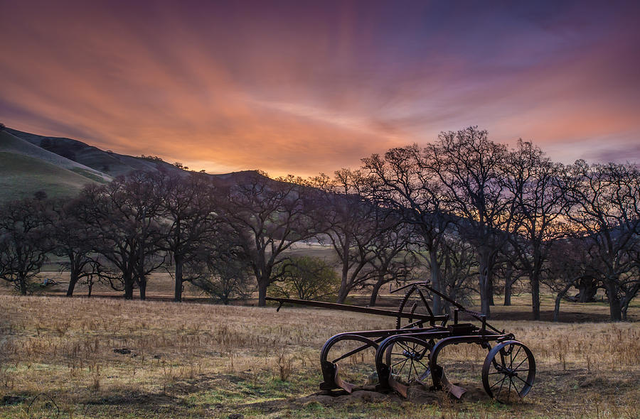Tree Photograph - Old Plow In A Field At Sunrise by Marc Crumpler