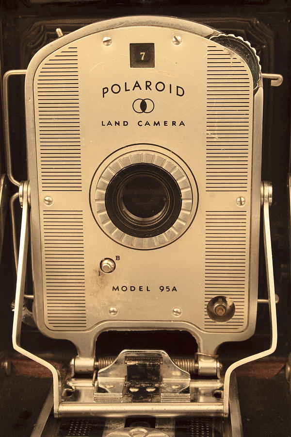 Old Polaroid Photograph by Wild Sage Studio Karen Powers