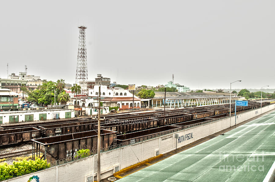 Railroad Photograph - Old Port of Tampico by Paulina Mallard