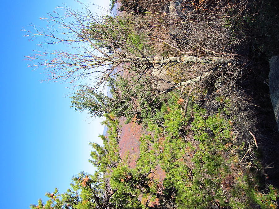 Nature Photograph - Old Rag Hiking Trail - 121226 by DC Photographer