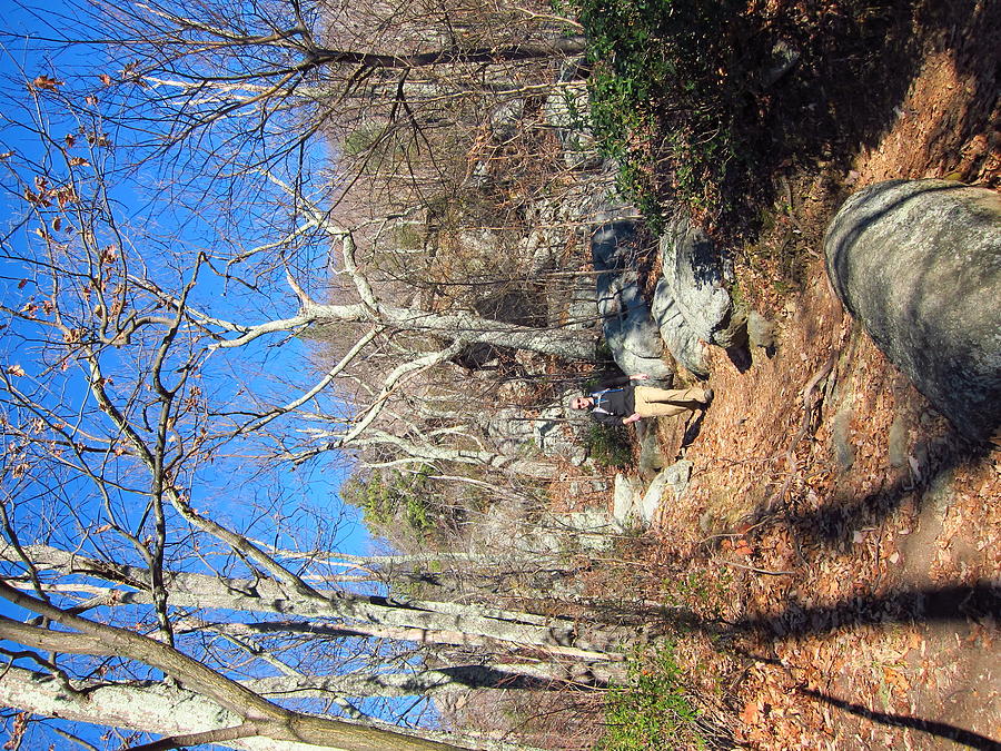 Nature Photograph - Old Rag Hiking Trail - 121246 by DC Photographer