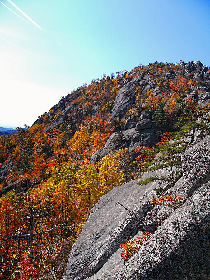 Old Rag in Autumn Photograph by Jemmy Archer
