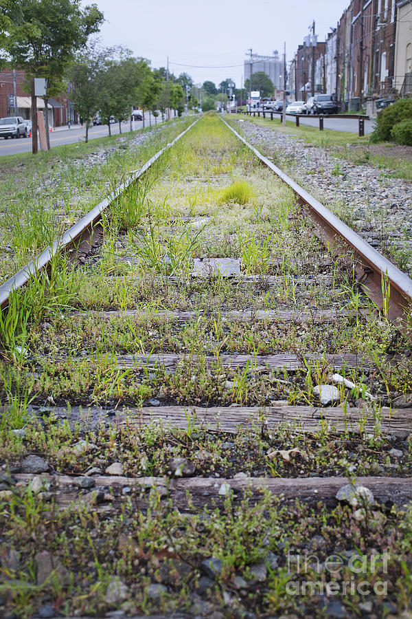 Old Railroad Tracks Photograph by Jonathan Welch