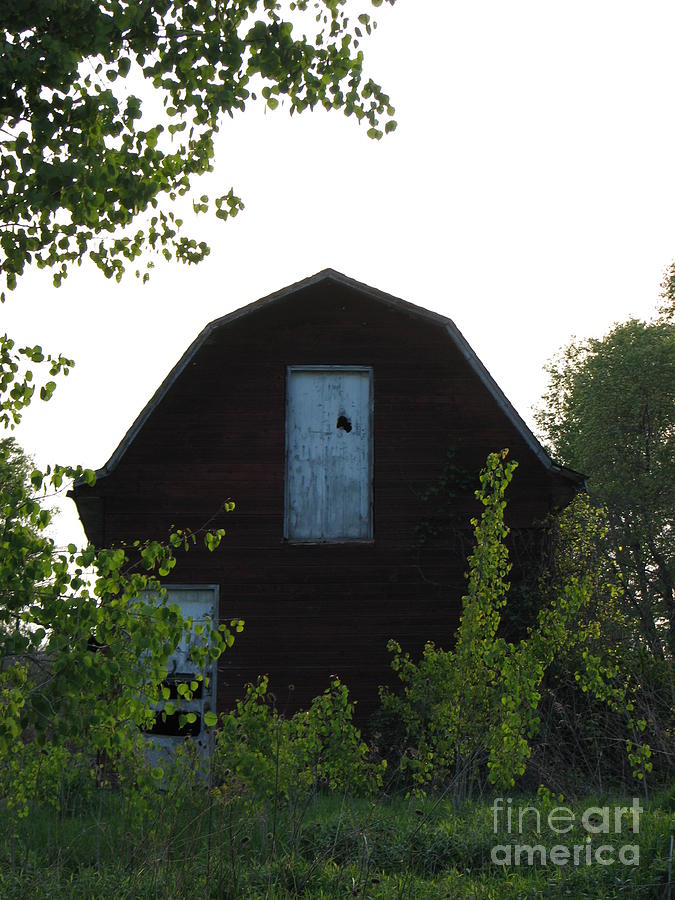 Old Red Barn 2 Photograph by Michael Krek