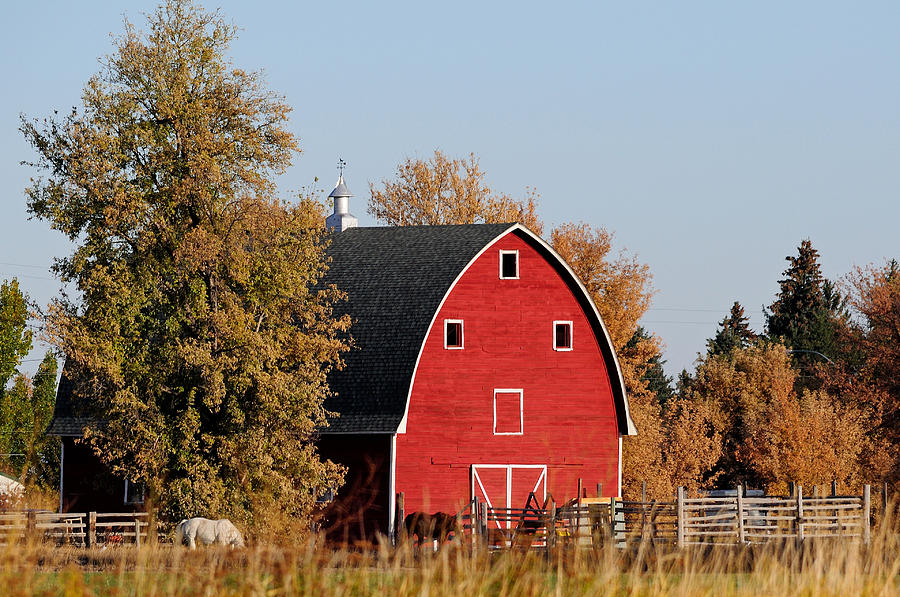 barn landscape photo