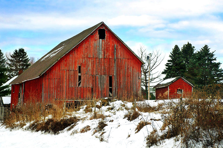 Old Red Barn by Christina Rollo