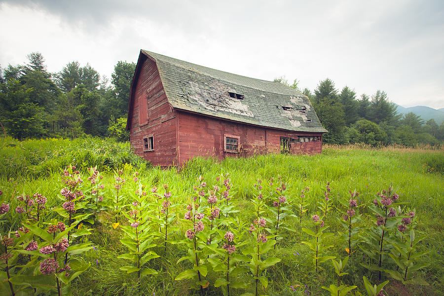 Old red barn in a field - Rustic landscapes Photograph by Gary Heller