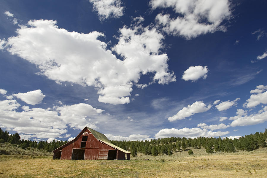 Old Red Barn In Landscape Oregon Photograph by Konrad Wothe