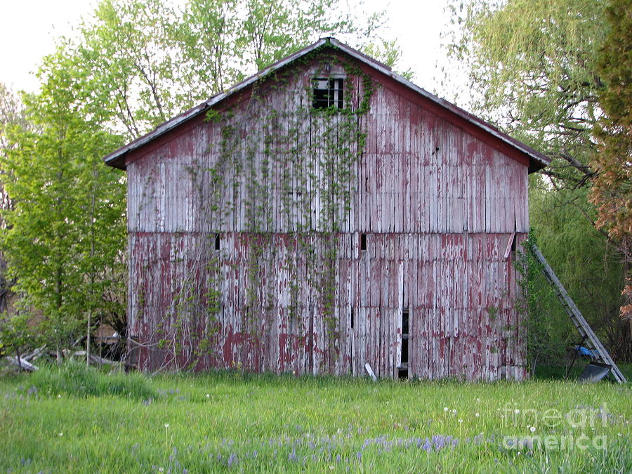 Old Red Barn Photograph by Michael Krek