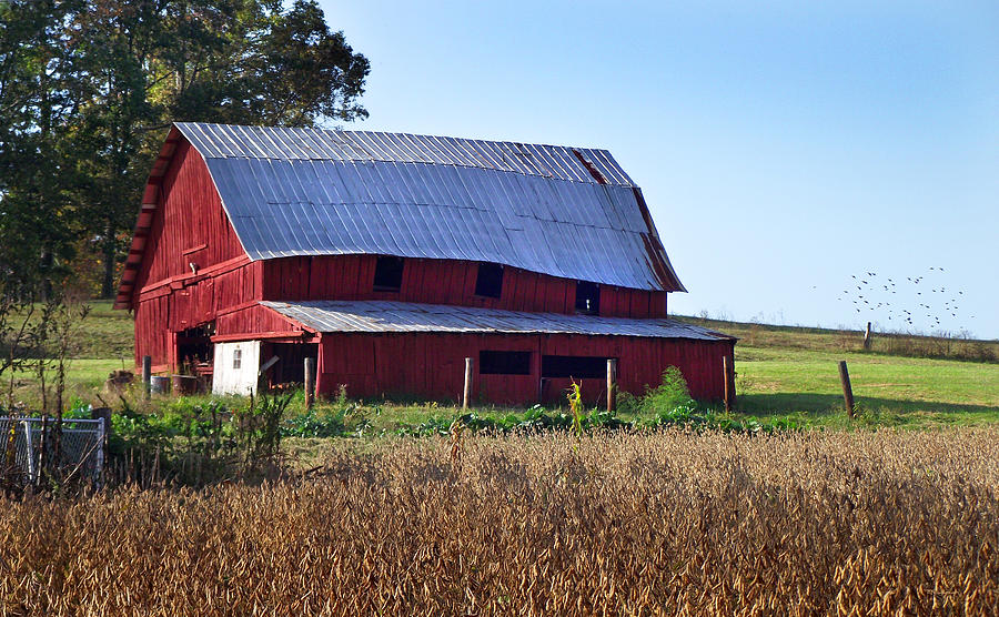 Old Red Barn near Etowah NC Photograph by Duane McCullough