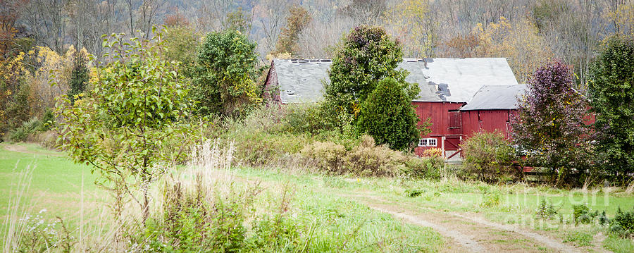 Old Red Barn Panorama Photograph by Erin Cadigan