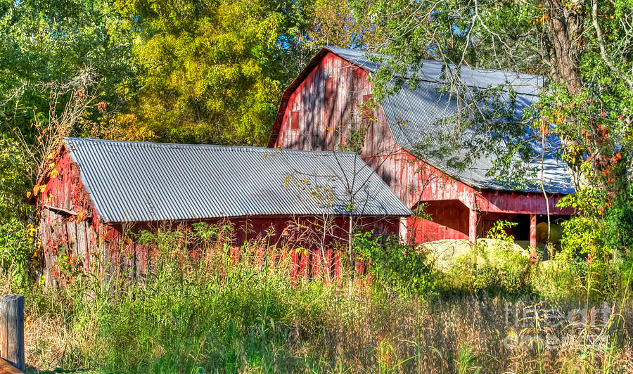 Old red Barn Photograph by Peggy Franz