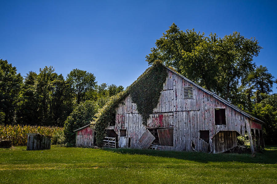 Old Red Barn Photograph by Ron Pate