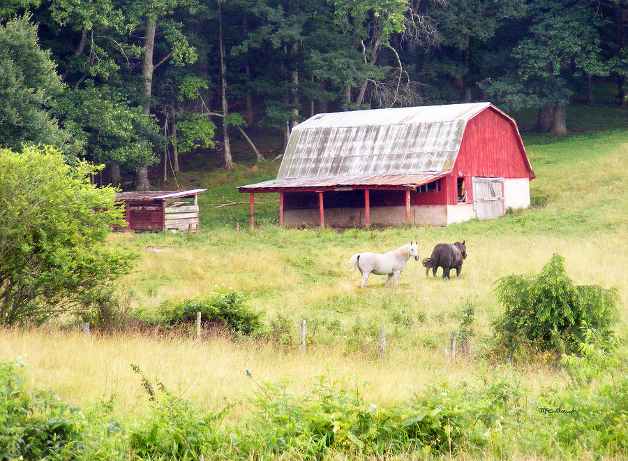 Old Red Barn West of Brevard NC Photograph by Duane McCullough
