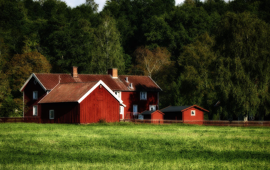 Old Red Farm Houses In Rural Nature Photograph by Christian Lagereek