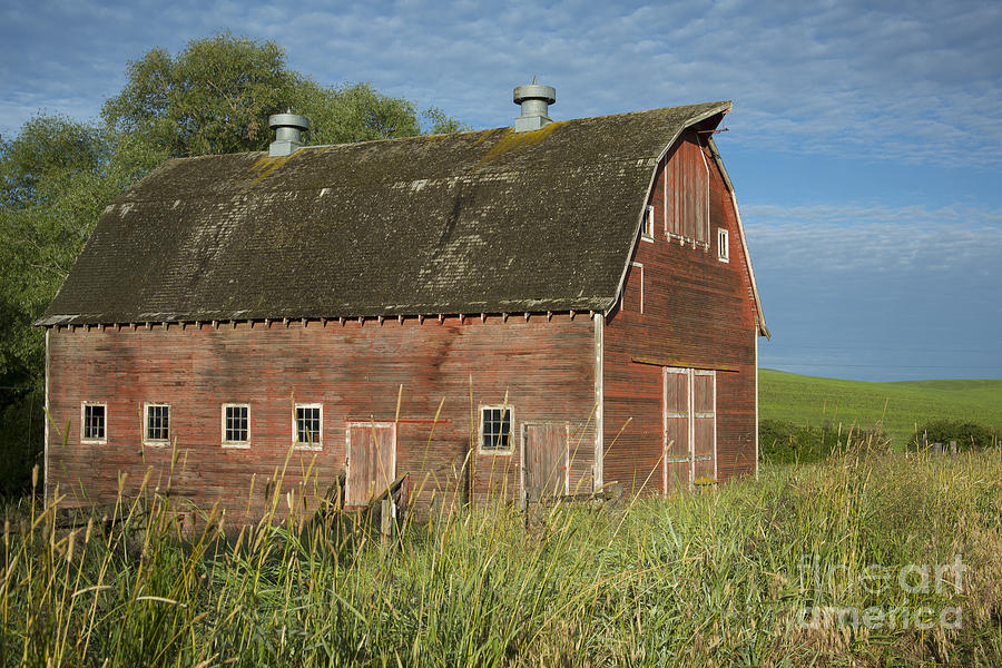 Old Red Photograph by Idaho Scenic Images Linda Lantzy - Fine Art America