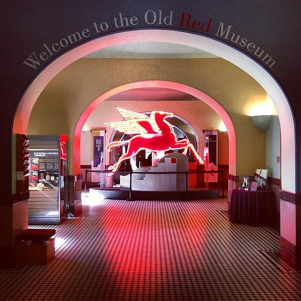 Dallas Photograph - Old Red Museum Photo By Jonathan Davila by Foto Funnel