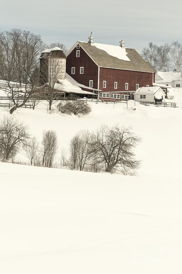 Winter Photograph - Old Red New England Barn in winter by Edward Fielding