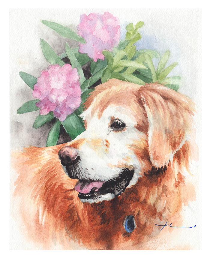 Old Retriever Dog Watercolor Portrait Drawing by Mike Theuer Old Retriever Dog Watercolor Portrait Drawing by Mike Theuer