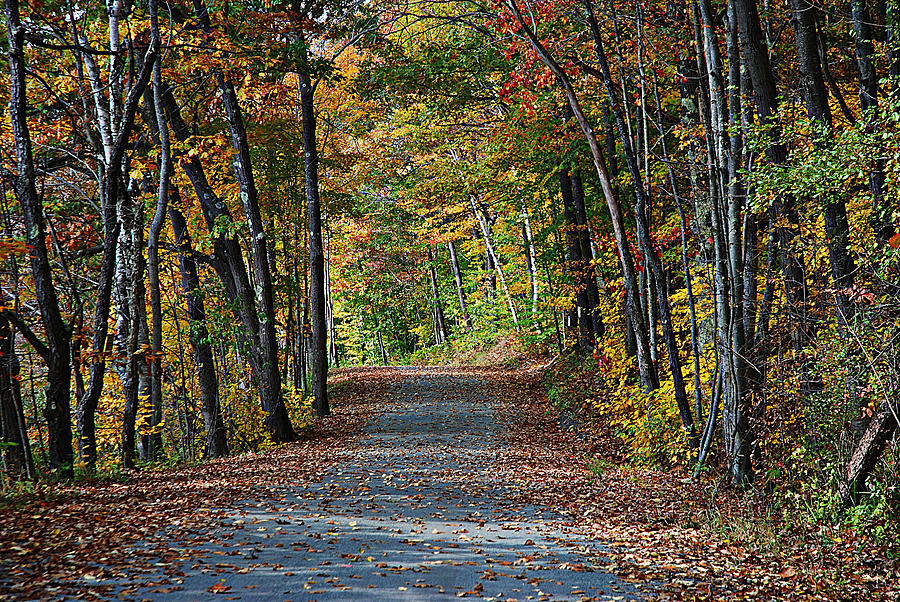 Old River Road North Creek by David Seguin Old River Road North Creek by David Seguin