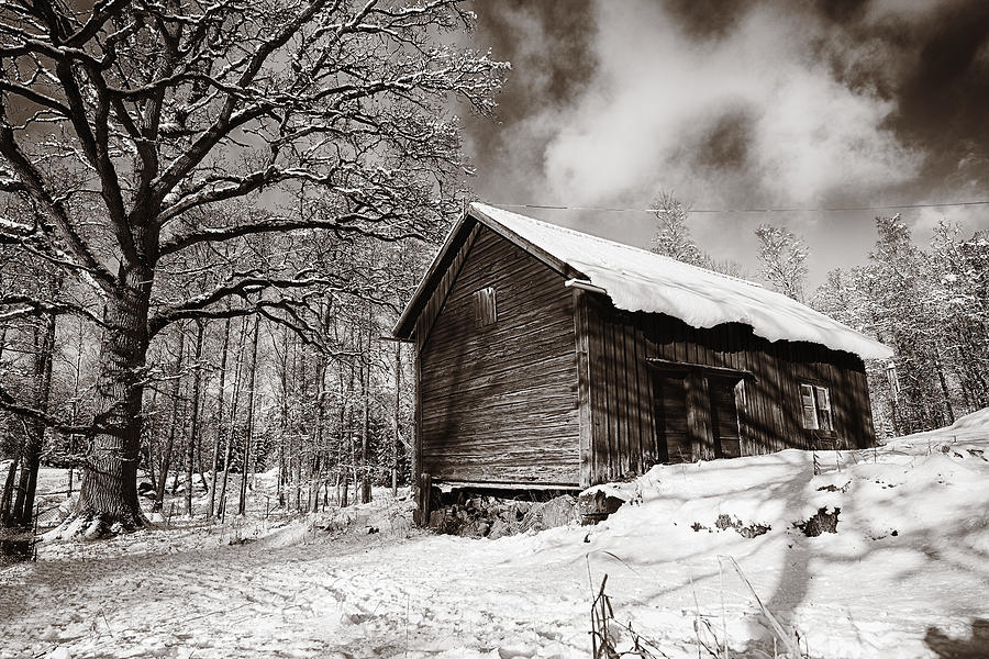 Old Rural Barn In A Winter Landscape Photograph by Christian Lagereek