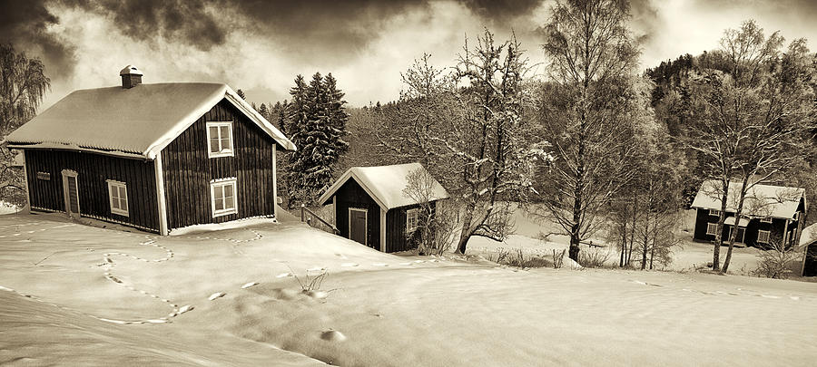 Old Rural Nature And Winter Landscape Photograph by Christian Lagereek
