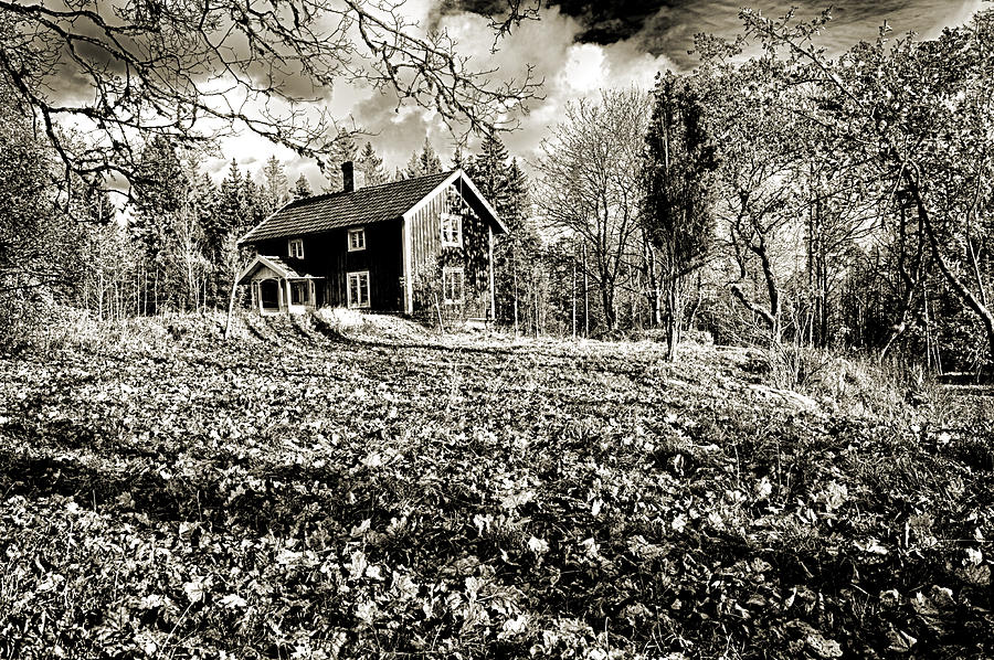 Old Rural Nature In Black And White Photograph by Christian Lagereek