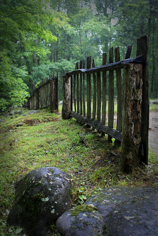 Old Rustic Fence Photograph by Larry Bohlin