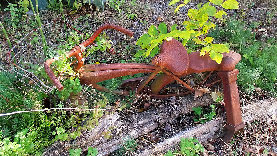 Old Rusty Bike in the Weeds 2 Photograph by Duane McCullough
