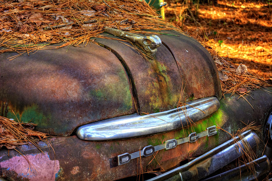 Old Rusty Dodge Photograph by Greg and Chrystal Mimbs