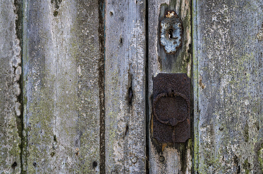 Old rusty door knocker Photograph by Paulo Goncalves